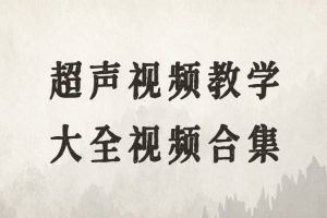 超声视频教学大全视频合集