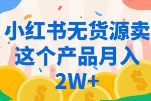 小红书无货源卖这个产品月入2W+