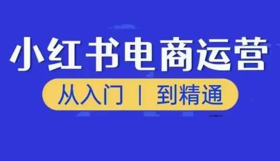 顽石小红书电商高阶运营课程，从入门到精通，玩法流程持续更新