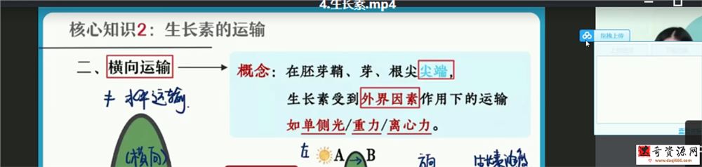 杨雪 2021暑假 高二生物暑假尖端班（更新中）课程视频百度云下载
