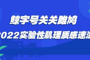 鲸字号关关雎鸠2022实验性肌理质感速涂