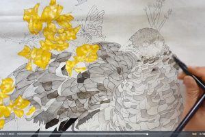 李海霞2022唯美国展技法工笔画孔雀三角梅【画质高清只有视频】