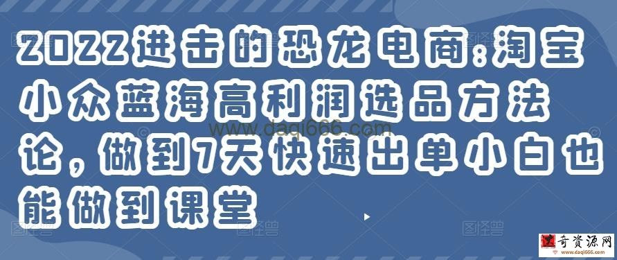 2022进击的恐龙电商:淘宝小众蓝海高利润选品方法论，做到7天快速出单小白也能做到