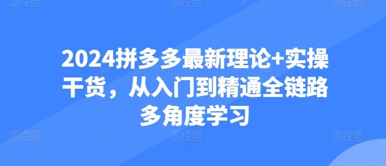 2024拼多多最新理论+实操干货，从入门到精通全链路多