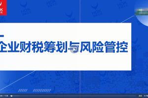 王葆青：企业财税筹划与风险管控