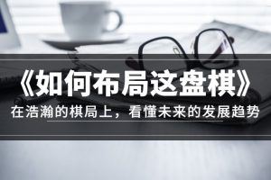 某公众号付费文章《如何布局这盘棋》在浩瀚的棋局上，看懂未来的发展趋势