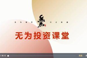 无为金融《职投训练营》视频29节