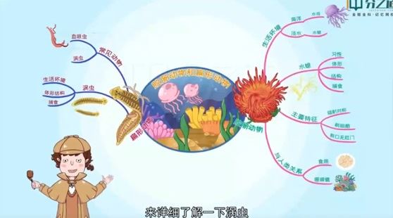 分之道 八年级初二生物上册动画课