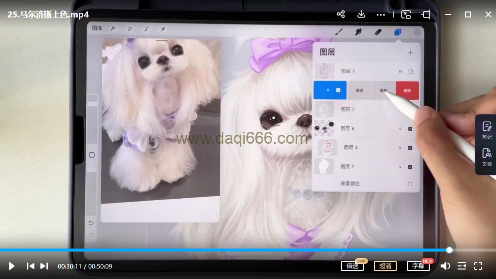艺琳2022零基础ipad宠物绘画课【画质高清有笔刷素材】