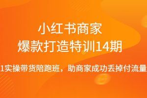 小红书商家爆款打造特训（14期）0-1实操带货陪跑班，助商家成功丢掉付流量