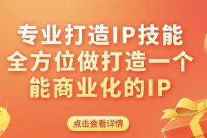 打爆·个人IP底层实战课，成熟专业的打造IP技能 全方位带你做成能商业化IP