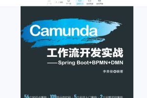 Camunda高级实战培训系列教程