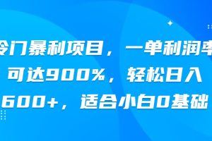 冷门暴利项目，一单利润率可达900%，轻松日入600+，适合小白0基础