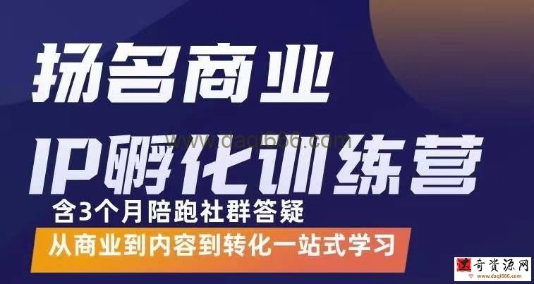 杨名商业IP孵化训练营，从商业到内容到转化一站式学 价值5980元