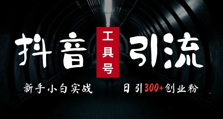 2024最新抖音工具号引流玩法，高效日引300+创业粉，当天变现5k，小白也可成为实战高手【项目拆解】