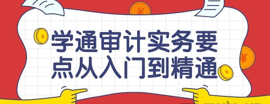 学通审计实务要点从入门到精通课