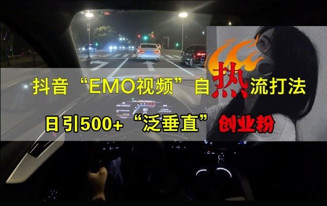 抖音EMO视频自热打法，日引500+“泛垂直”创业粉【项目拆解】