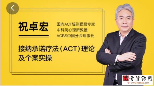 祝卓宏:接纳承诺疗法（ACT）理论及个案操作 视频课