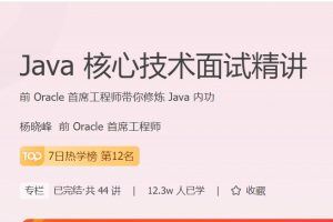 极客时间专栏课-杨晓峰-Java核心技术面试精讲