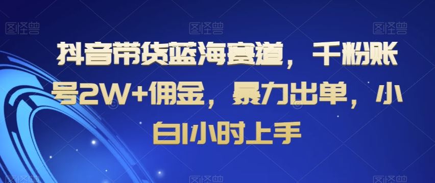 抖音带货蓝海赛道，千粉账号2W+佣金，暴力出单，小白1小时上手【揭秘】