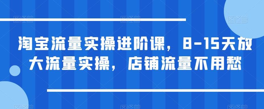 淘宝流量实操进阶课，8-15天放大流量实操，店铺流量不用愁！