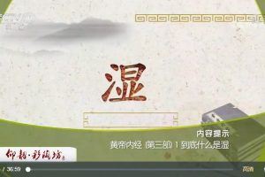 百家讲坛《黄帝内经（第三部）》 翟双庆（20集全）