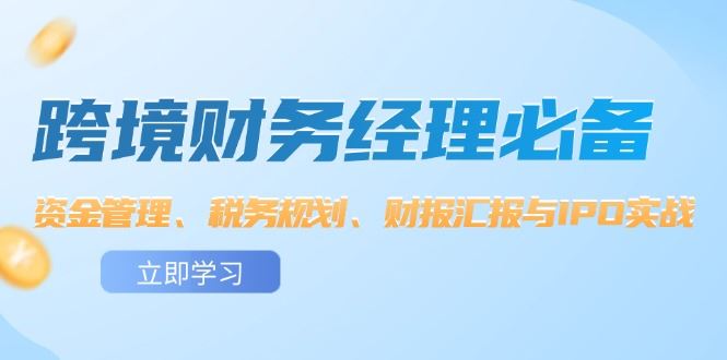 跨境财务经理必备：资金管理、税务规划、财报汇报与IPO实战