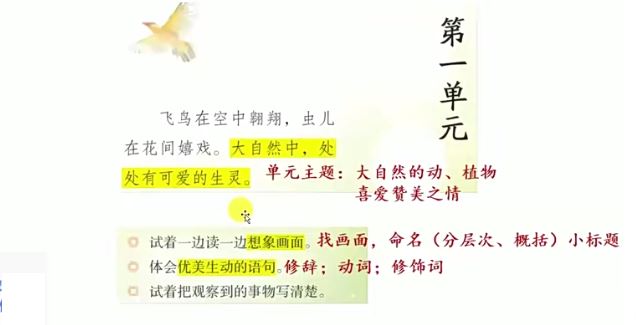 【完结】孙老师的翻书课（3-6年级）