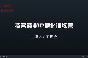 王扬名商业IP训练营29集（完结）