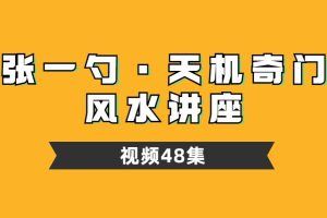 张一勺天机奇门风水讲座视频48集