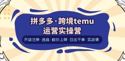 《拼多多跨境temu运营实操营》开店注册·选品·核价上架·日出千单·实战课