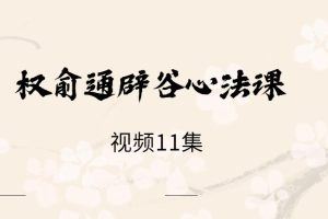 权俞通辟谷心法课 视频11集