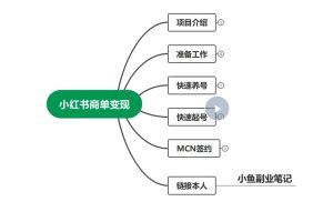 小红书2023商单变现课程（附视频采集软件）