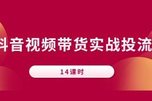 抖音视频带货实战投流（视频14讲）