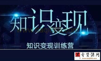 王通《知识变现训练营》第6期录音版