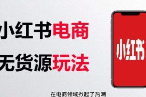 2023小红书无货源电商，带你玩转小红书，打造完善的变现体系