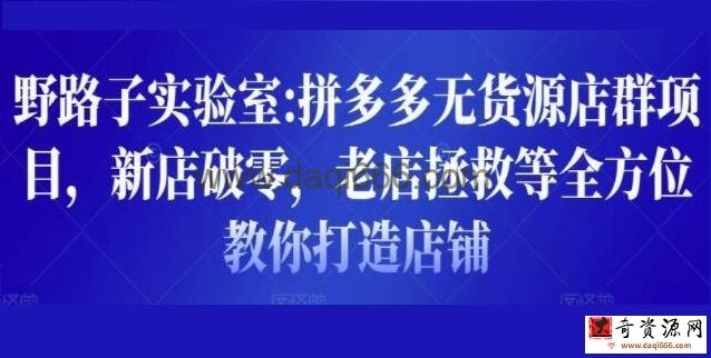 野路子实验室《拼多多无货源店群项目》新店破零，老店拯救等全方位教你打造店铺