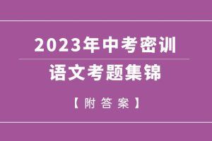 2023年中考密训语文考题集锦（附答案）
