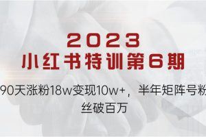 《2023小红书特训第6期》90天涨粉18w变现10w+，半年矩阵号粉丝破百万